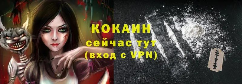 COCAIN VHQ  цена   Кировград 