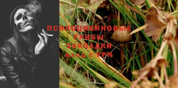 прущие крисы Медвежьегорск