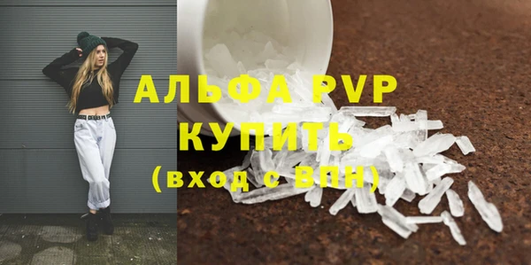 прущие крисы Медвежьегорск