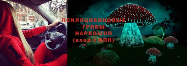 прущие крисы Медвежьегорск