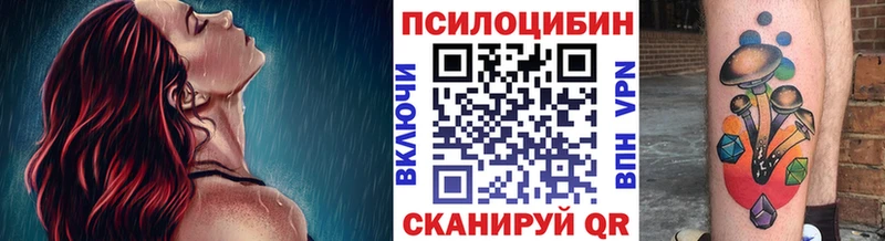 Галлюциногенные грибы Cubensis  маркетплейс официальный сайт  Кировград  ОМГ ОМГ как войти 