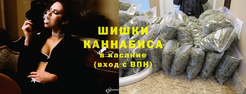 Бошки марихуана конопля  hydra как войти  Кировград 